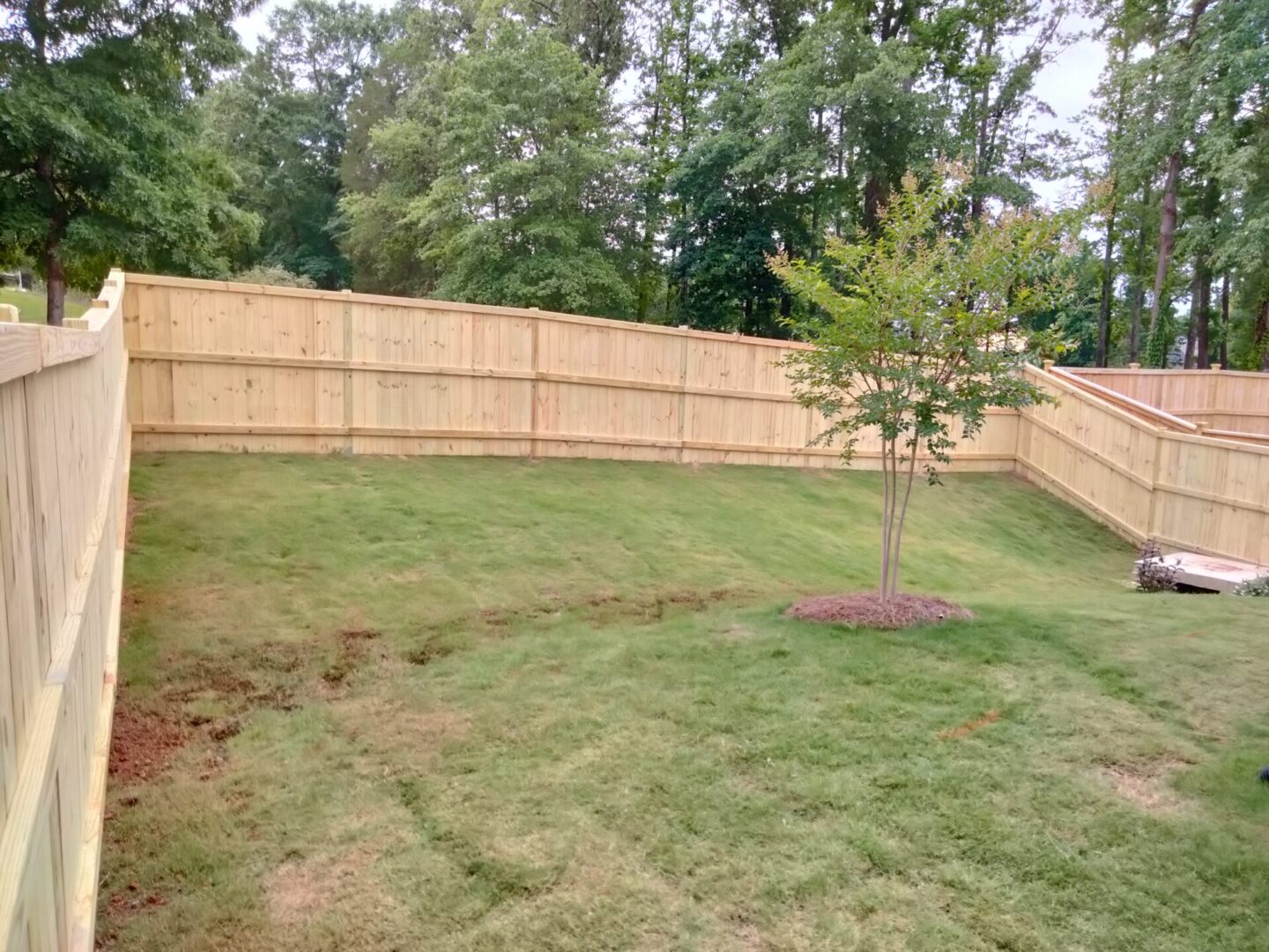Inside of a Charleston Style Fence
